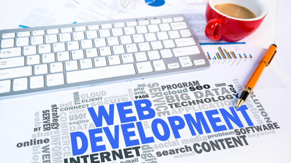Role of Web Developer